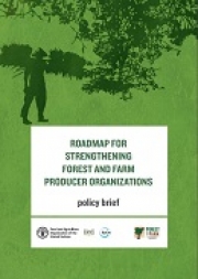 A roadmap for strengthening forest and farm producer organizations, FFF Policy Brief